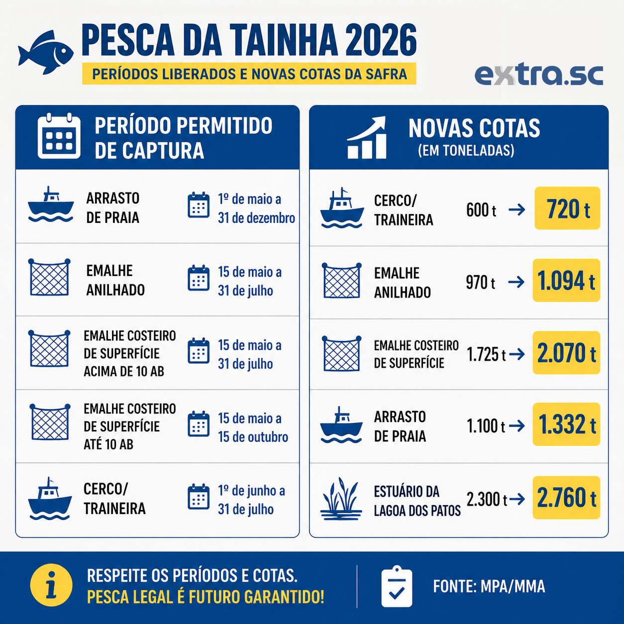 infografico_tainha